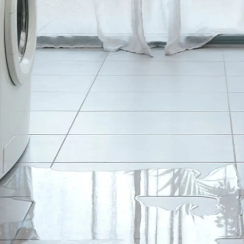 Appliance Leak Cleanup in Troy, TX