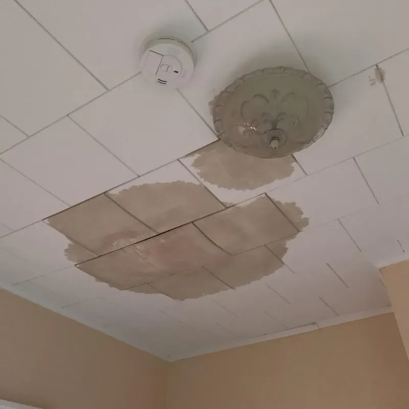 Ceiling Water Damage Repair in Troy, TX