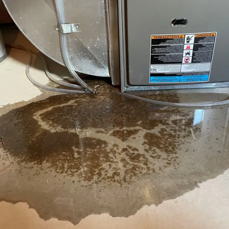 Pipe Burst and Leak Restoration in Troy, TX