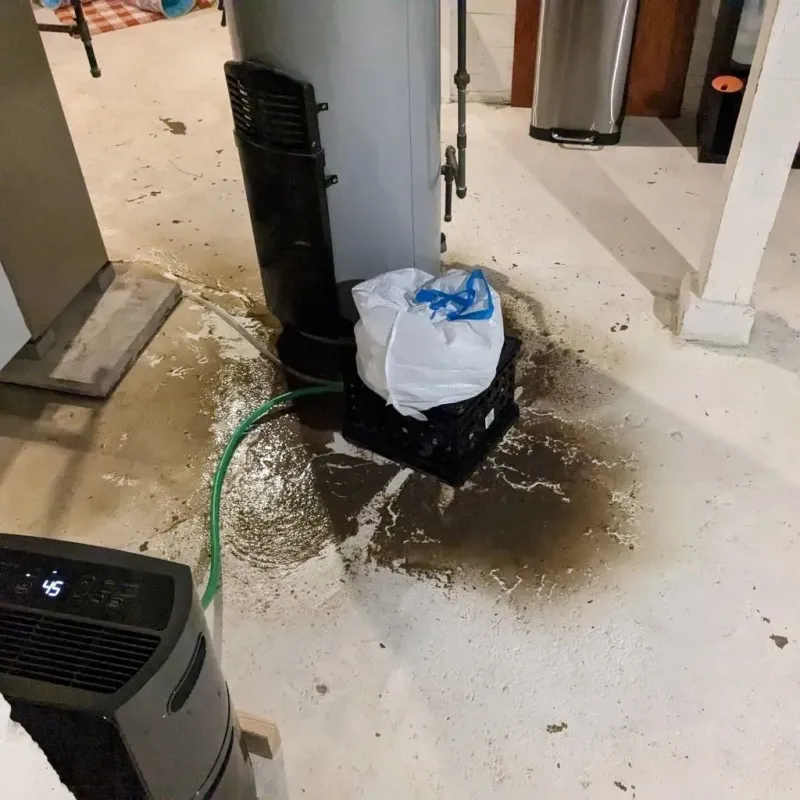 Sewage Backup Cleanup Service in Troy, TX